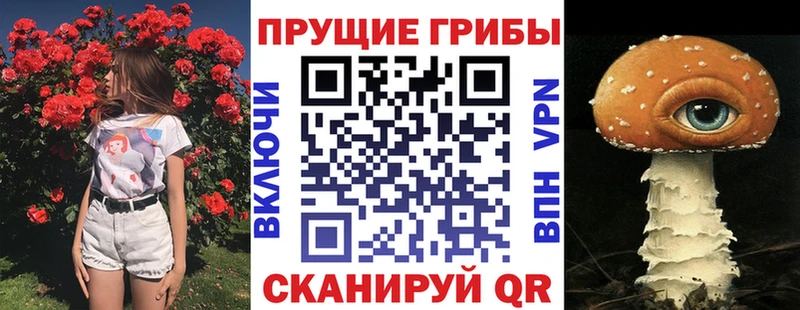 Псилоцибиновые грибы GOLDEN TEACHER  Микунь 